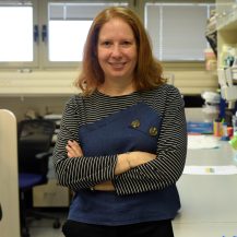 Prof. Reut Shalgi, Rappaport Faculty of Medicine