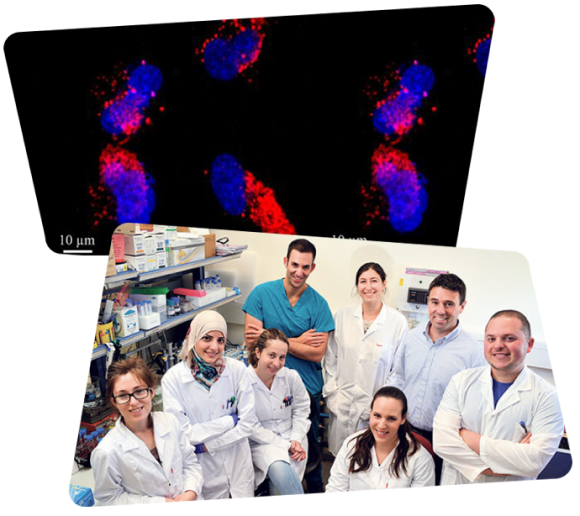 Top: Drug Delivery-All rights reserved to Prof. Yoav Livney, Faculty of Biotechnology and Food Engineering, Technion- Israel Institute of Technology