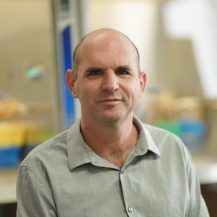 David Meiri
