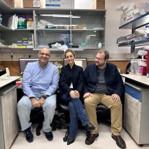 Prof. Yuval Shaked and his Team