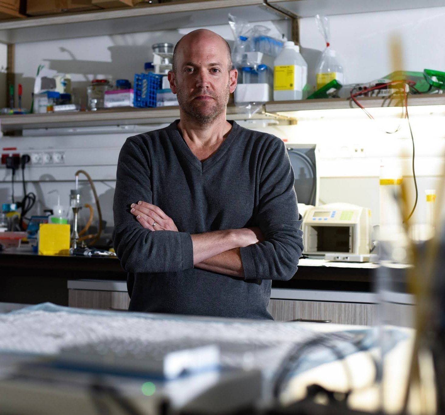 Prof. Raz Palty, Rappaport Faculty of Medicine