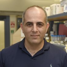 Roee Amit, PhD, Professor