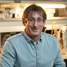 Prof. Shai Shen-Orr, Rappaport Faculty of Medicine