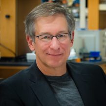 Prof. Hermann Steller, The Rockefeller University