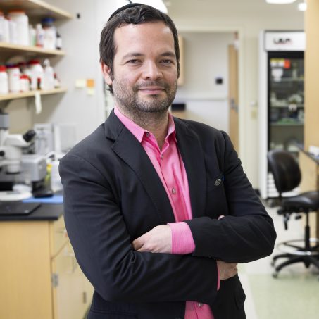 Prof. Alexander Birbrair, Department of Dermatology University of Wisconsin-Madison