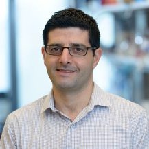 Asst. Prof. Nir Ben-Chetrit, Cornell University