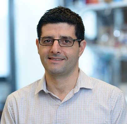 Asst. Prof. Nir Ben-Chetrit, Cornell University