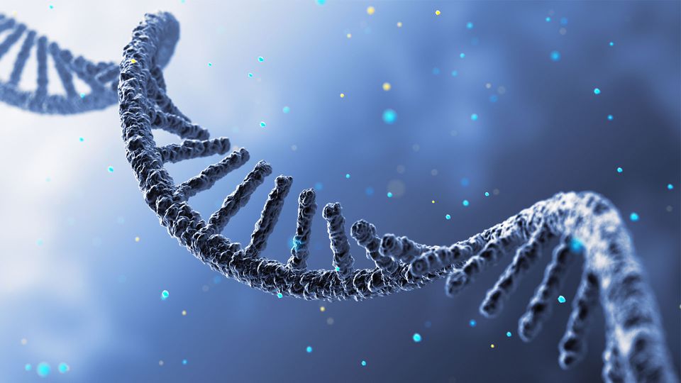 RNA in Cancer