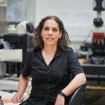 Prof. Ayelet Lamm, Faculty of Biology